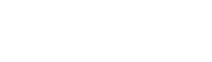 Fábio Felix Logo
